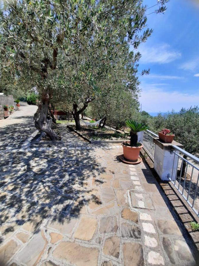 Casale I Tre Diamanti Apartment มัสซาลูเบรนเซ ภายนอก รูปภาพ