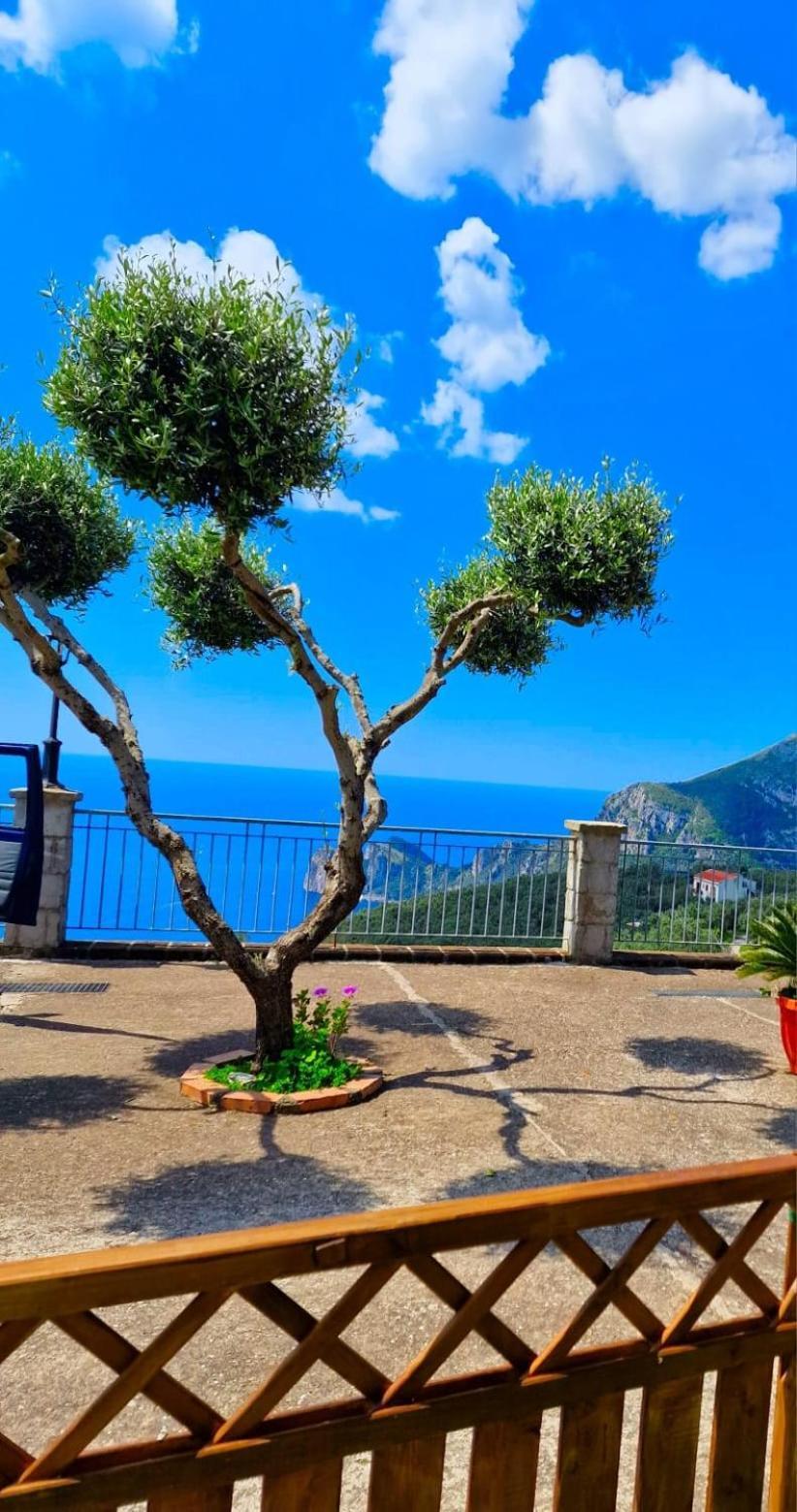 Casale I Tre Diamanti Apartment มัสซาลูเบรนเซ ภายนอก รูปภาพ
