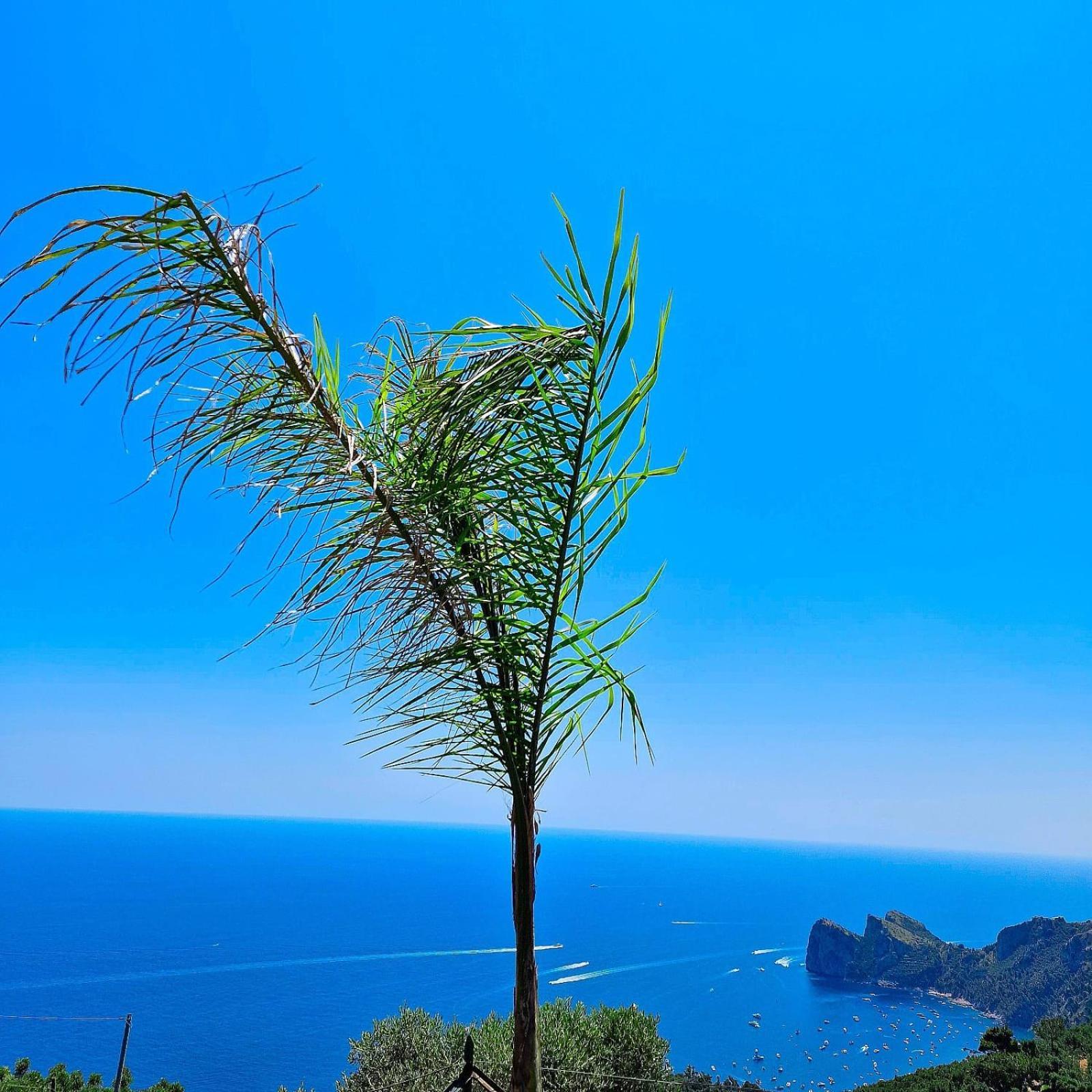 Casale I Tre Diamanti Apartment มัสซาลูเบรนเซ ภายนอก รูปภาพ